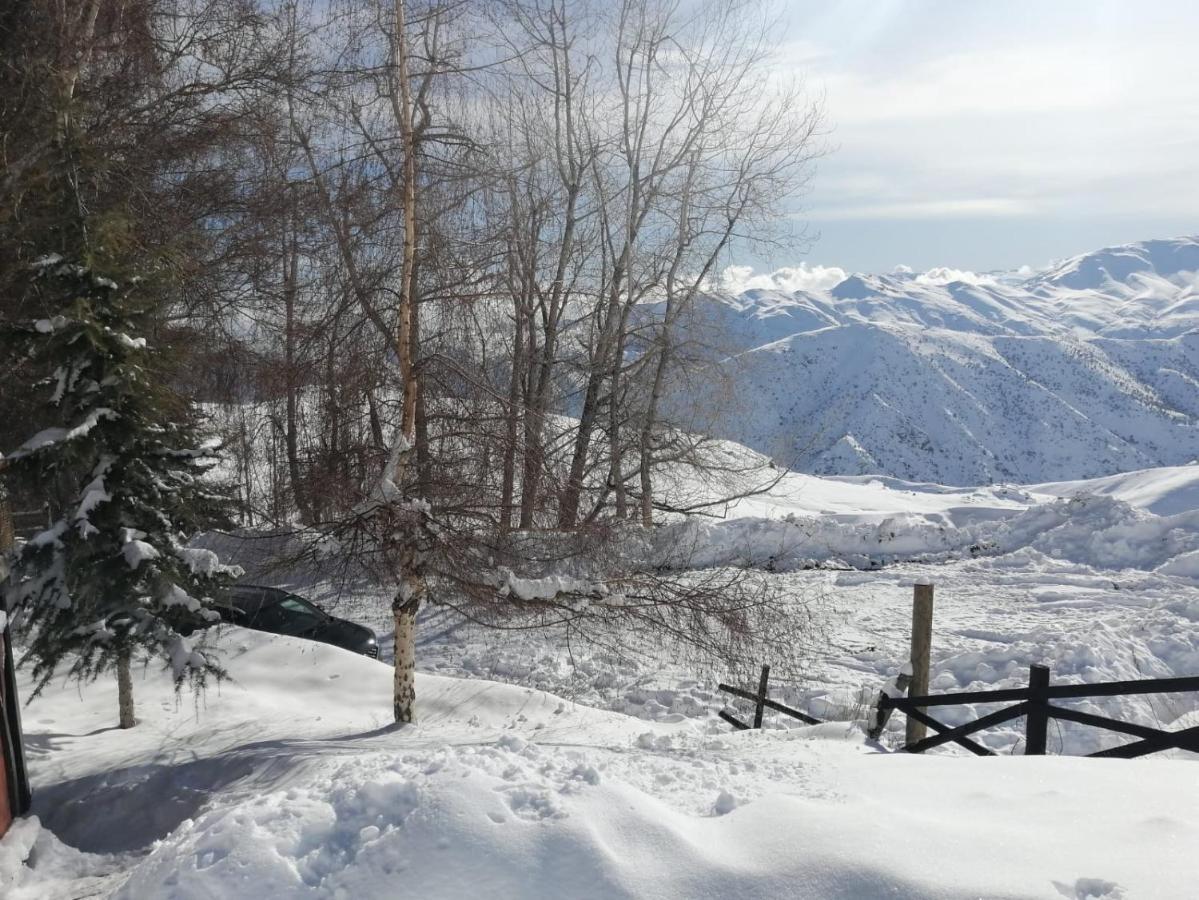 Cumbres * Farellones