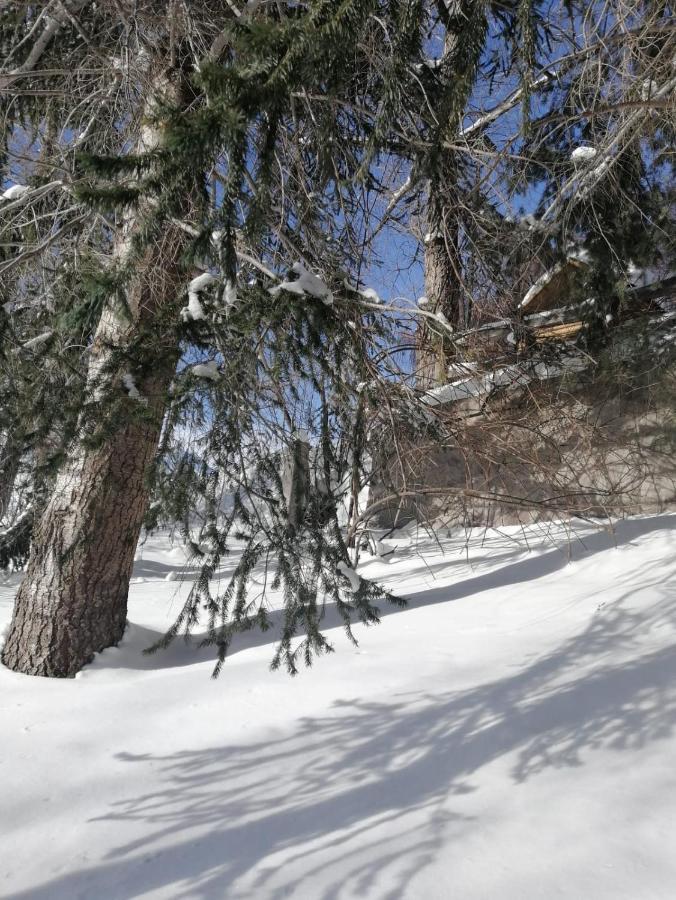 Cumbres Pensión Farellones